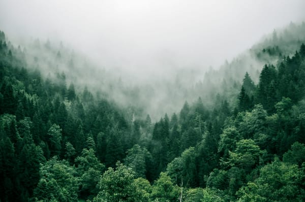 The Story Behind 10Pines, Told by Co-Founder Jorge Silva